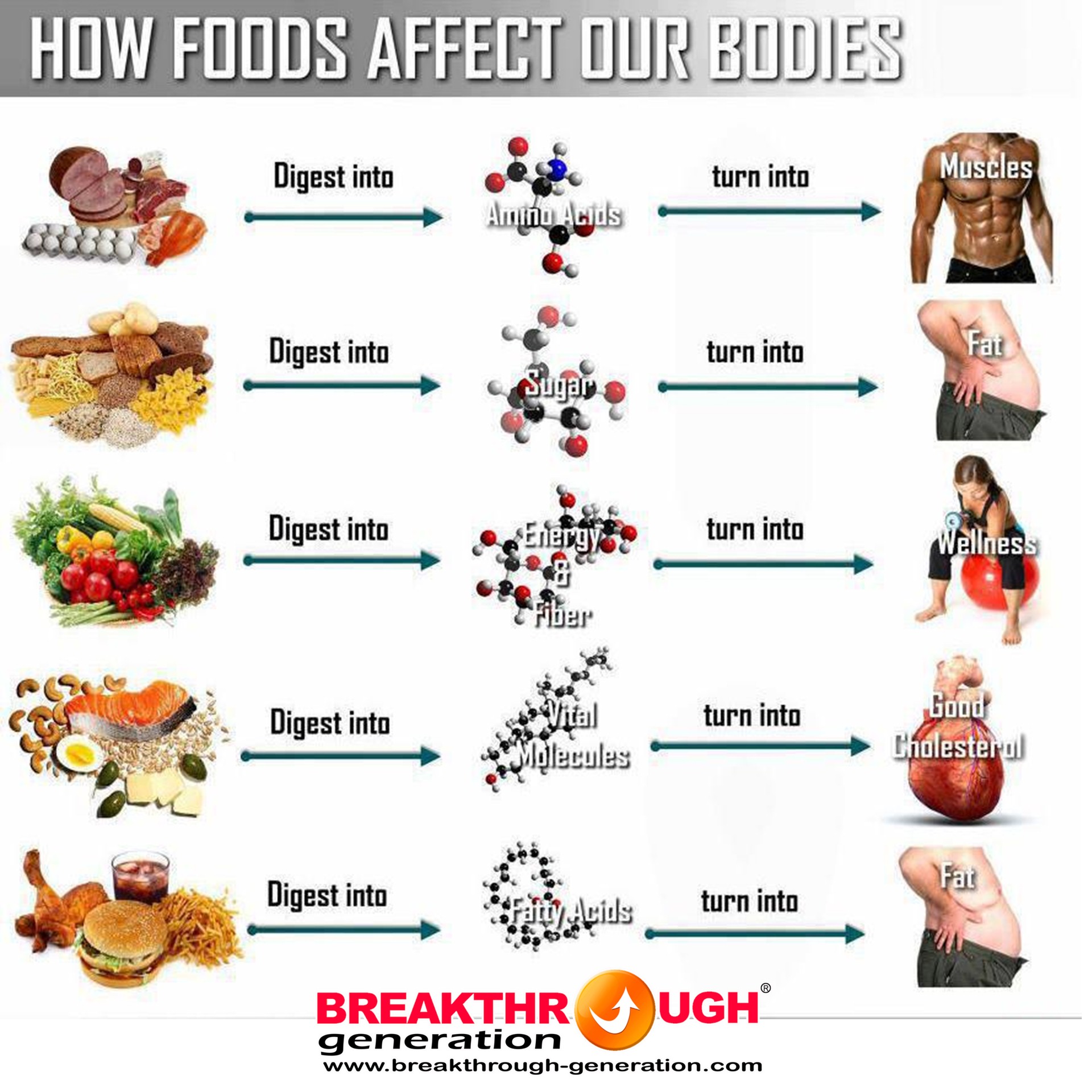 CUKUPKAH GIZI ANDA? Breakthrough Generation